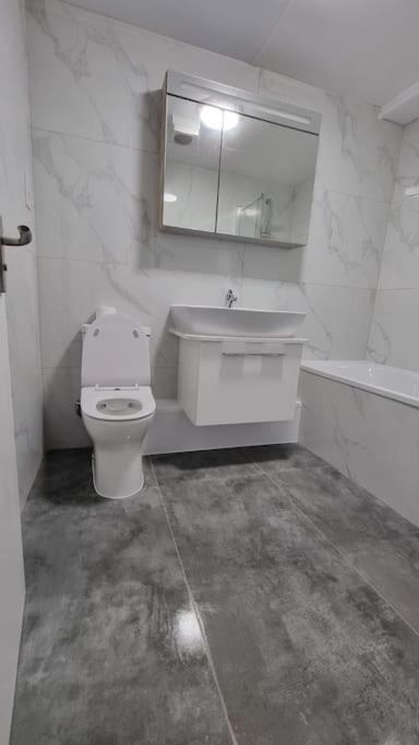 Brand New Flat Close To Turnpike Lane Tube Station Londra Esterno foto